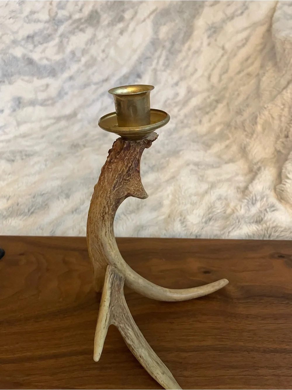 Antler Candlestick Holder with Brass Cup - Natural Brown